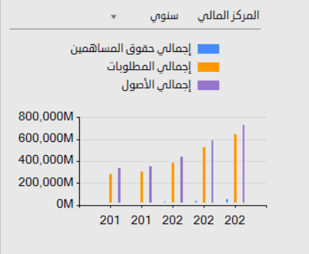 قائمة المركز المالى سهم الراجحى قائمة المركز المالى سهم الراجحى
